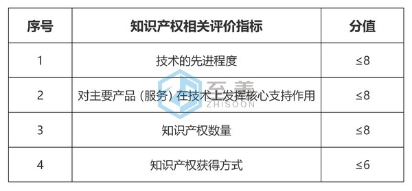 知识产权指标分值(1)