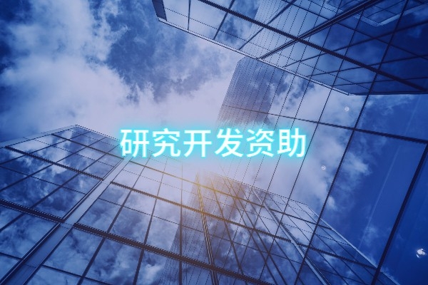 研发投入资助