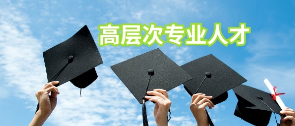 高层次人才